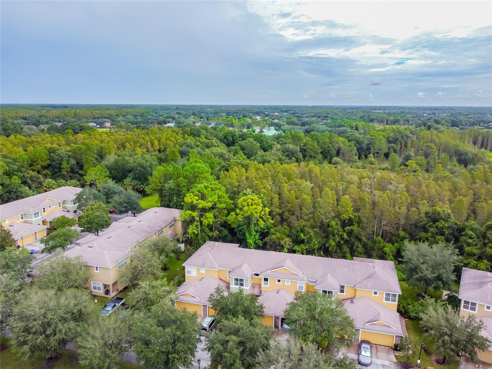 8116 STONE PATH WAY, TAMPA, FL — photo 6