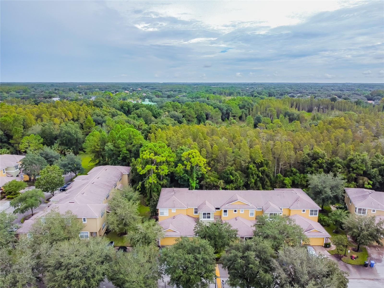 8116 STONE PATH WAY, TAMPA, FL — photo 7