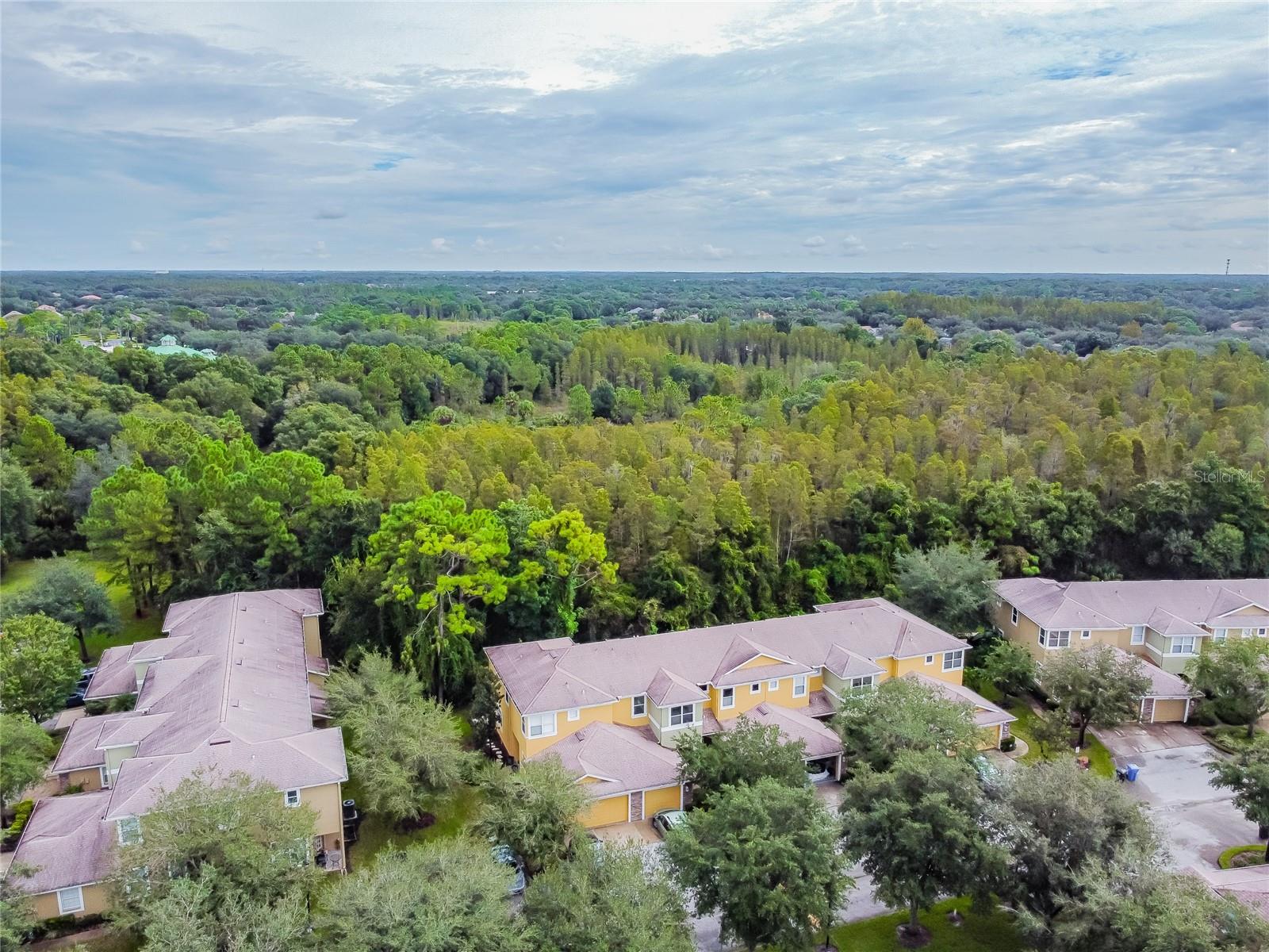 8116 STONE PATH WAY, TAMPA, FL — photo 8