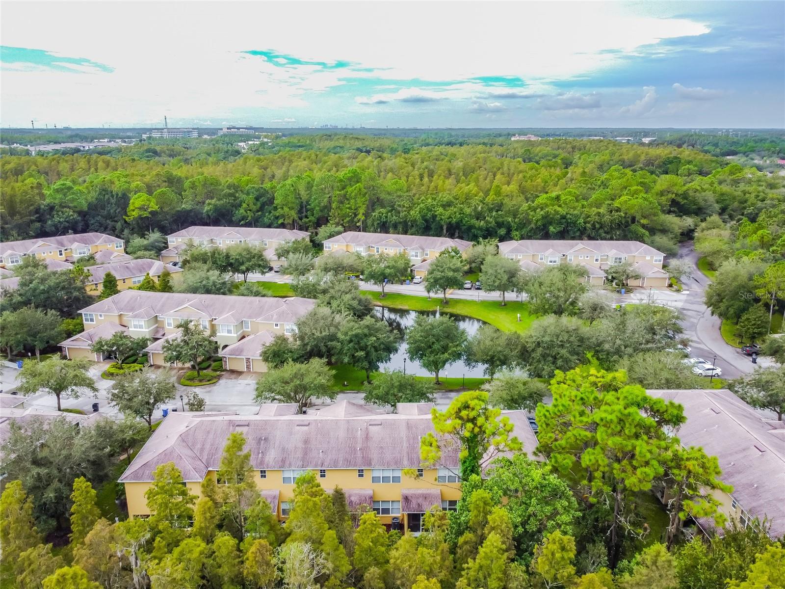 8116 STONE PATH WAY, TAMPA, FL — photo 11