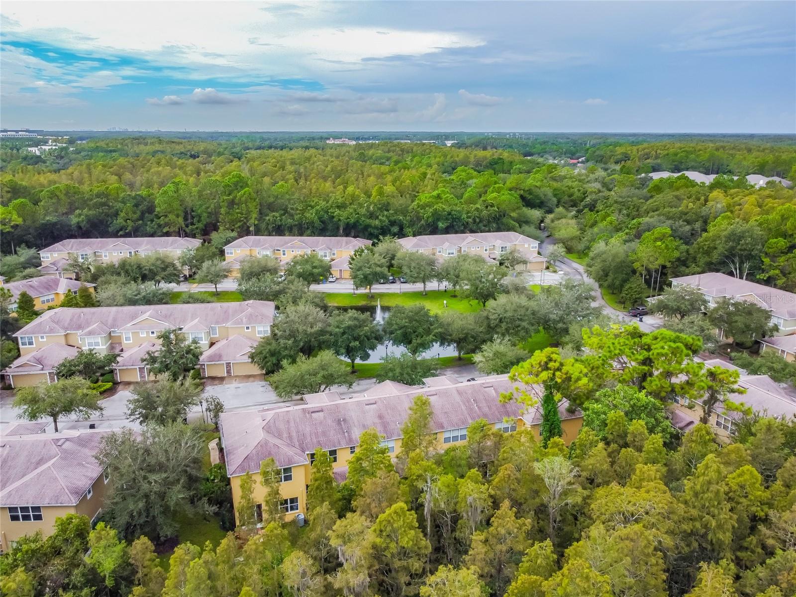 8116 STONE PATH WAY, TAMPA, FL — photo 13