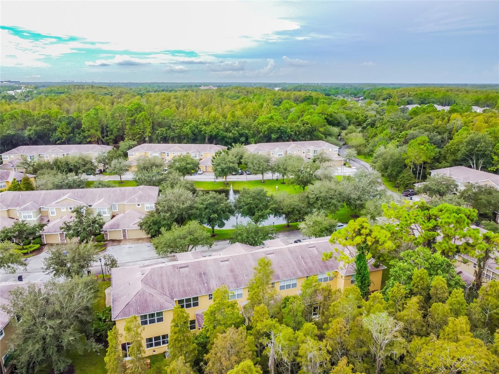 8116 STONE PATH WAY, TAMPA, FL — photo 14