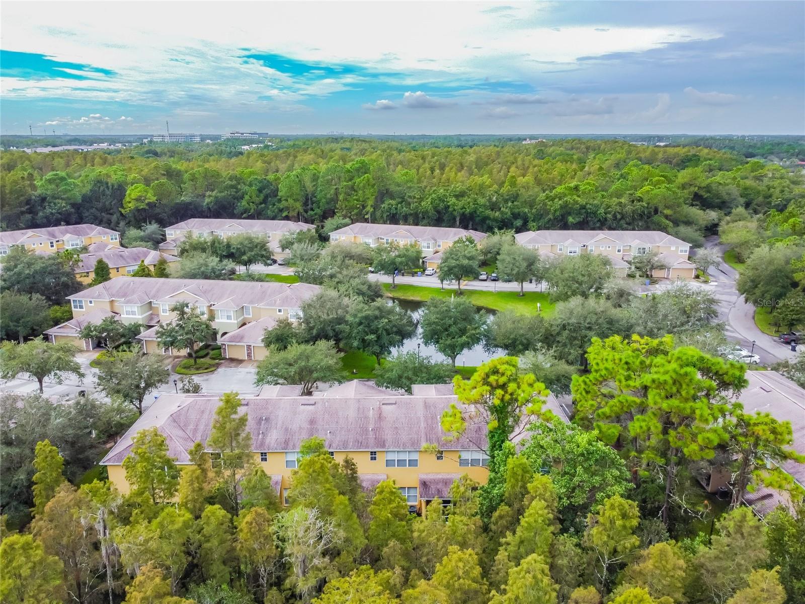 8116 STONE PATH WAY, TAMPA, FL — photo 15