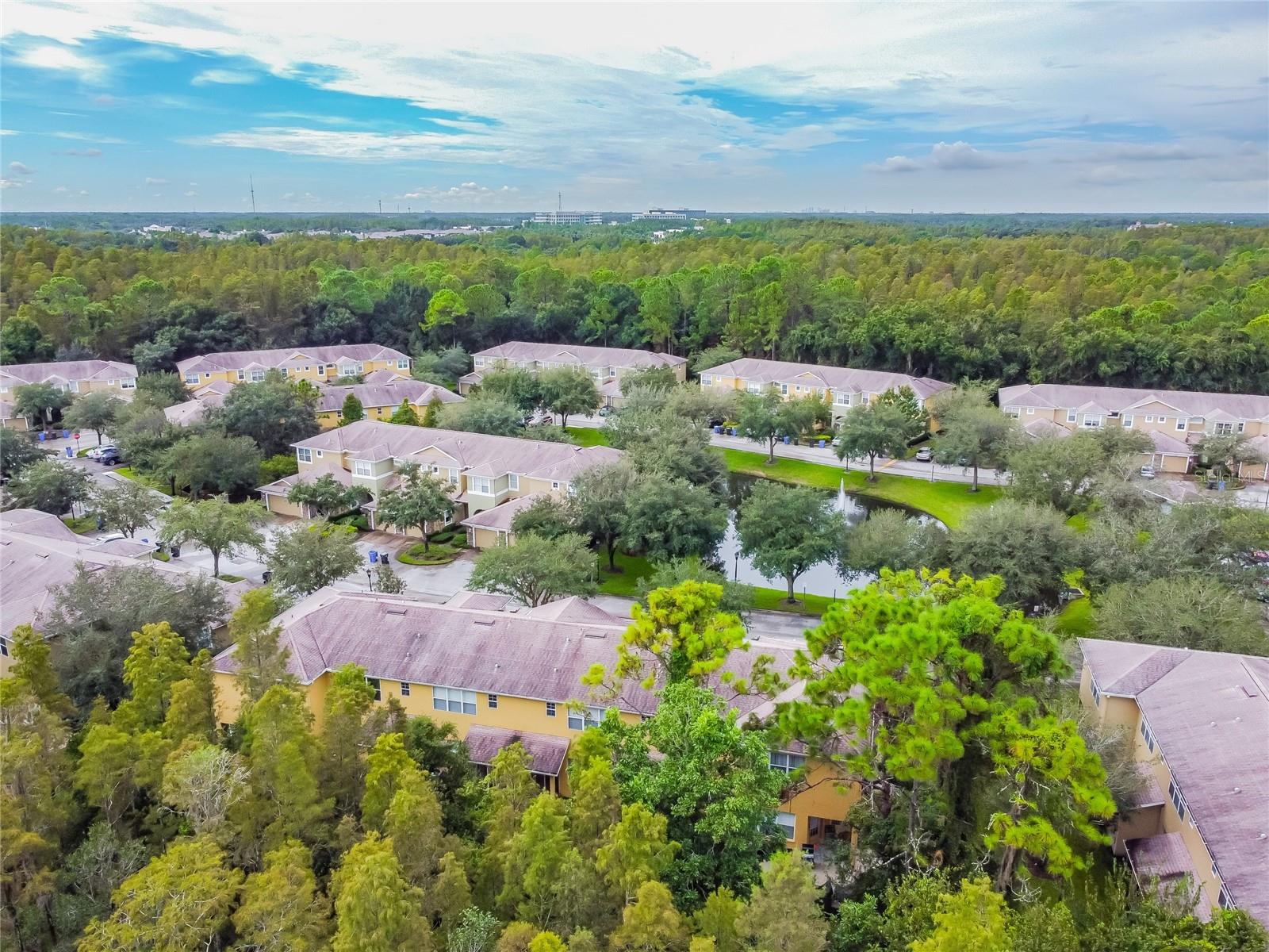 8116 STONE PATH WAY, TAMPA, FL — photo 16