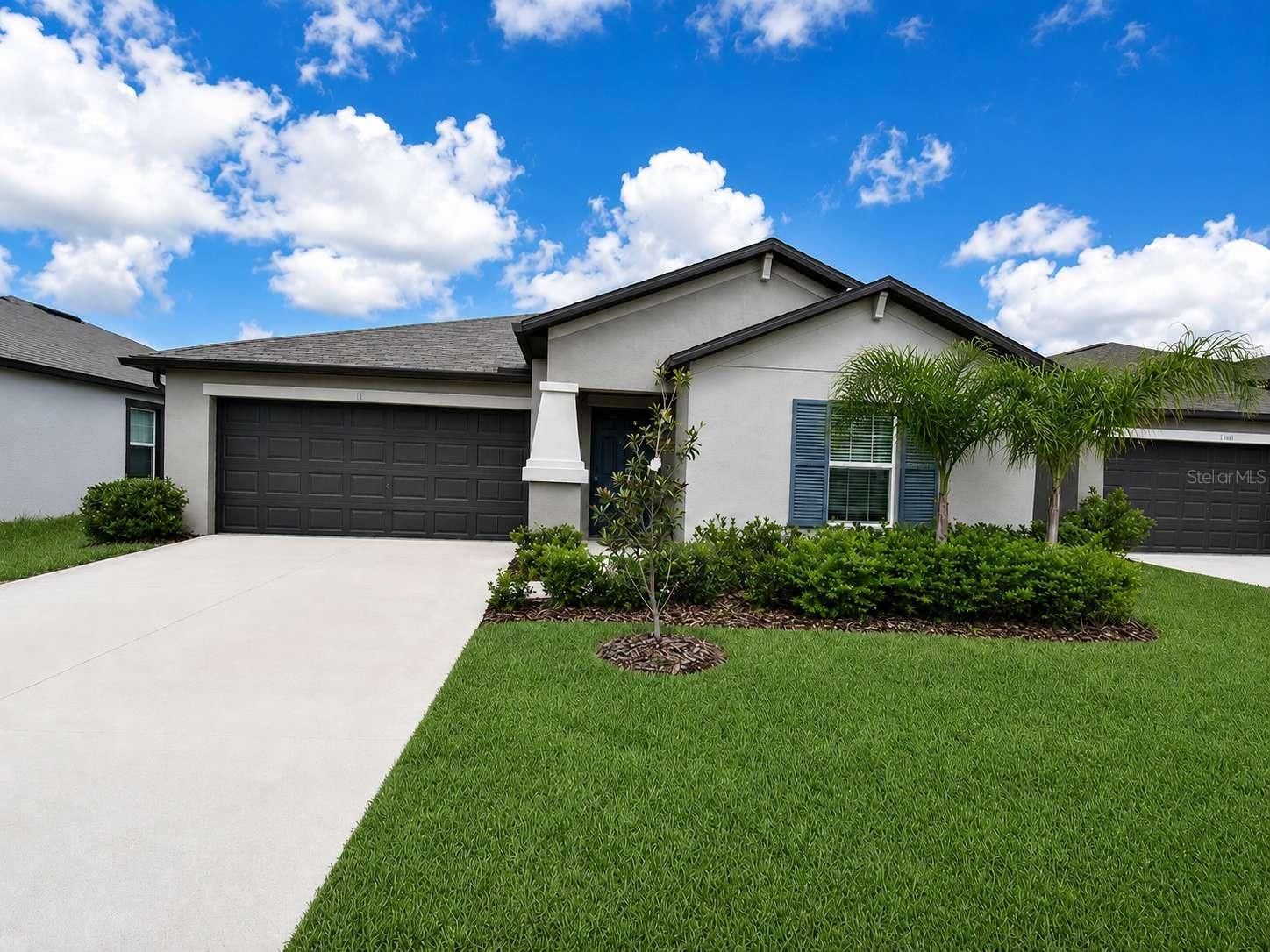 9685 BRANCHING SHIP TRCE, WESLEY CHAPEL, FL