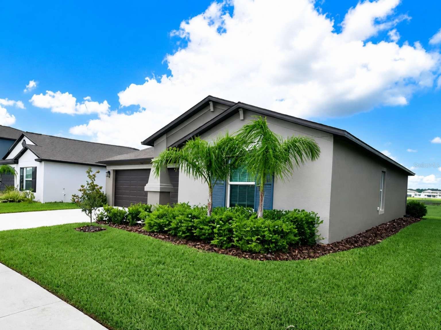 9685 BRANCHING SHIP TRCE, WESLEY CHAPEL, FL — photo 3