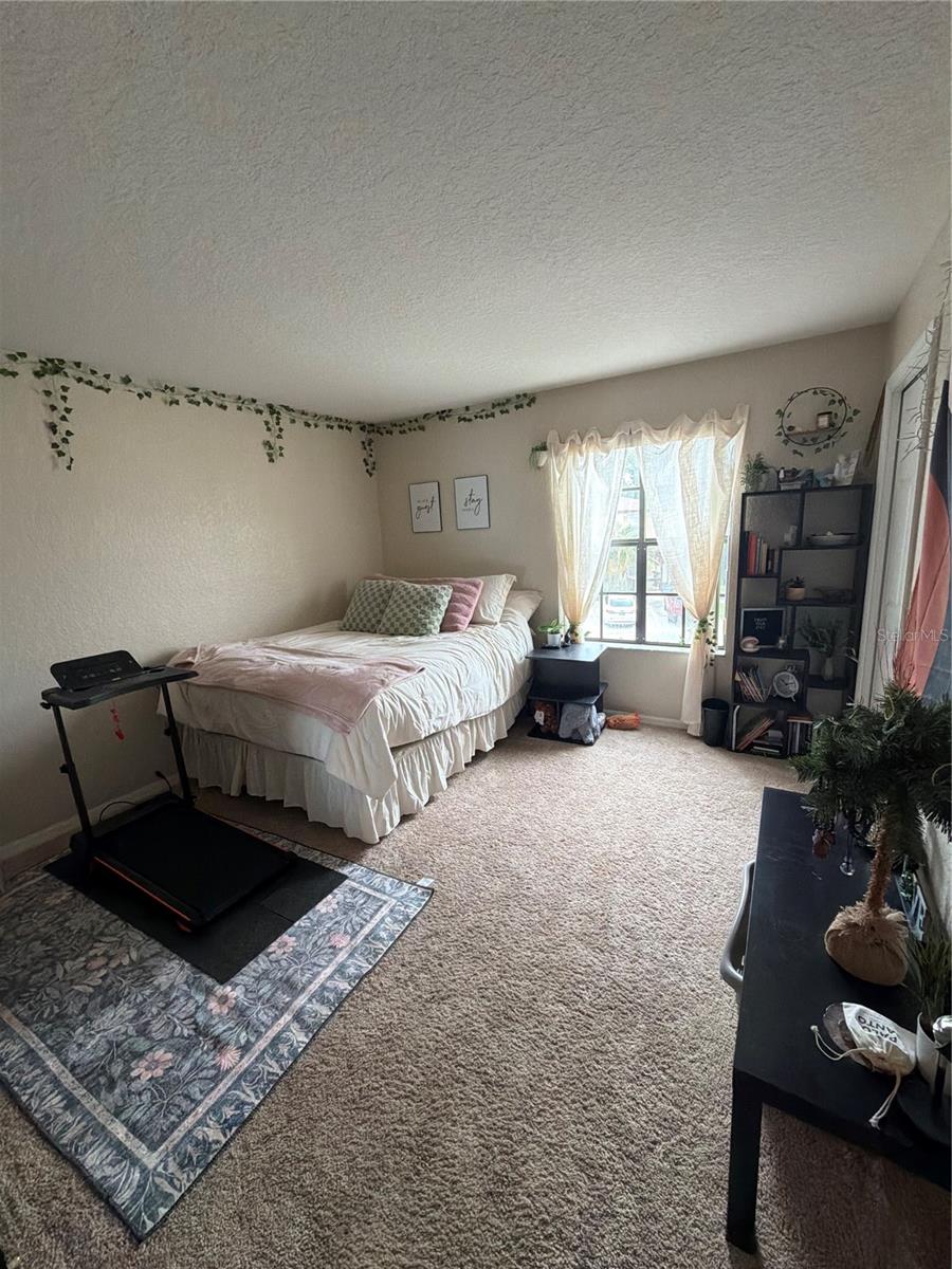 2504 BRIGADOON DR, CLEARWATER, FL — photo 5