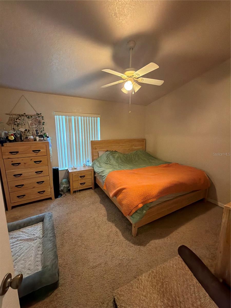 2504 BRIGADOON DR, CLEARWATER, FL — photo 6