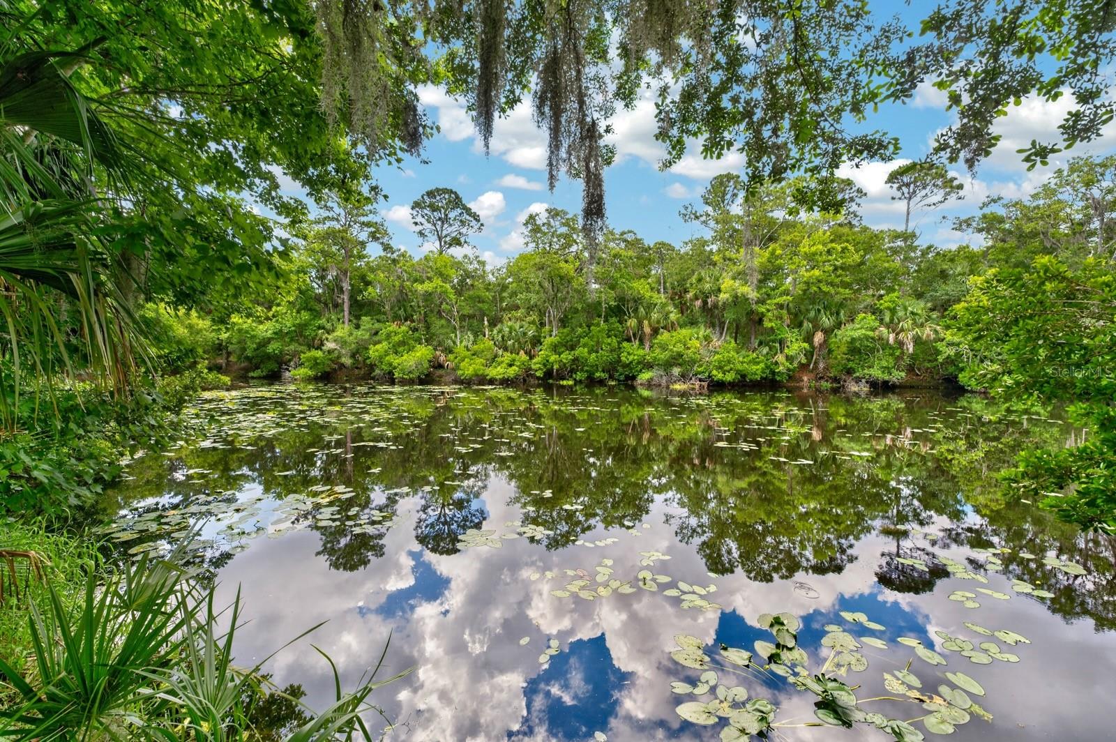53 AUBERRY DR, PALM COAST, FL — photo 44