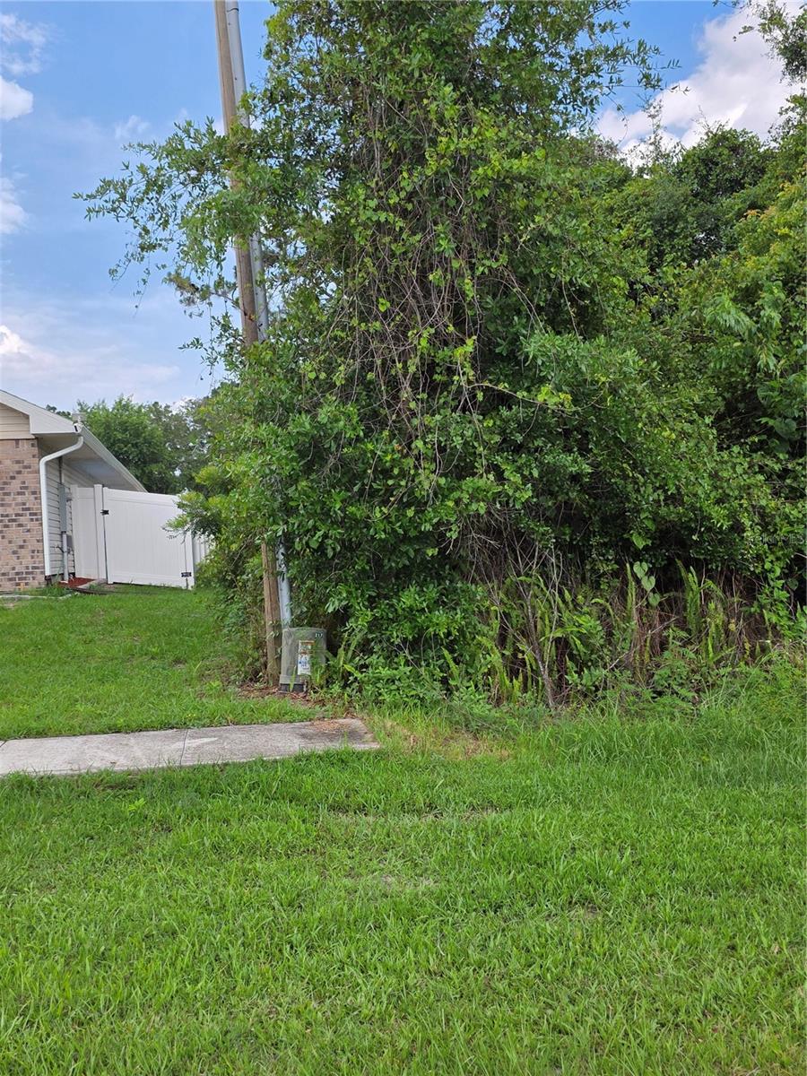 3227 URMEY AVE, DELTONA, FL — photo 4