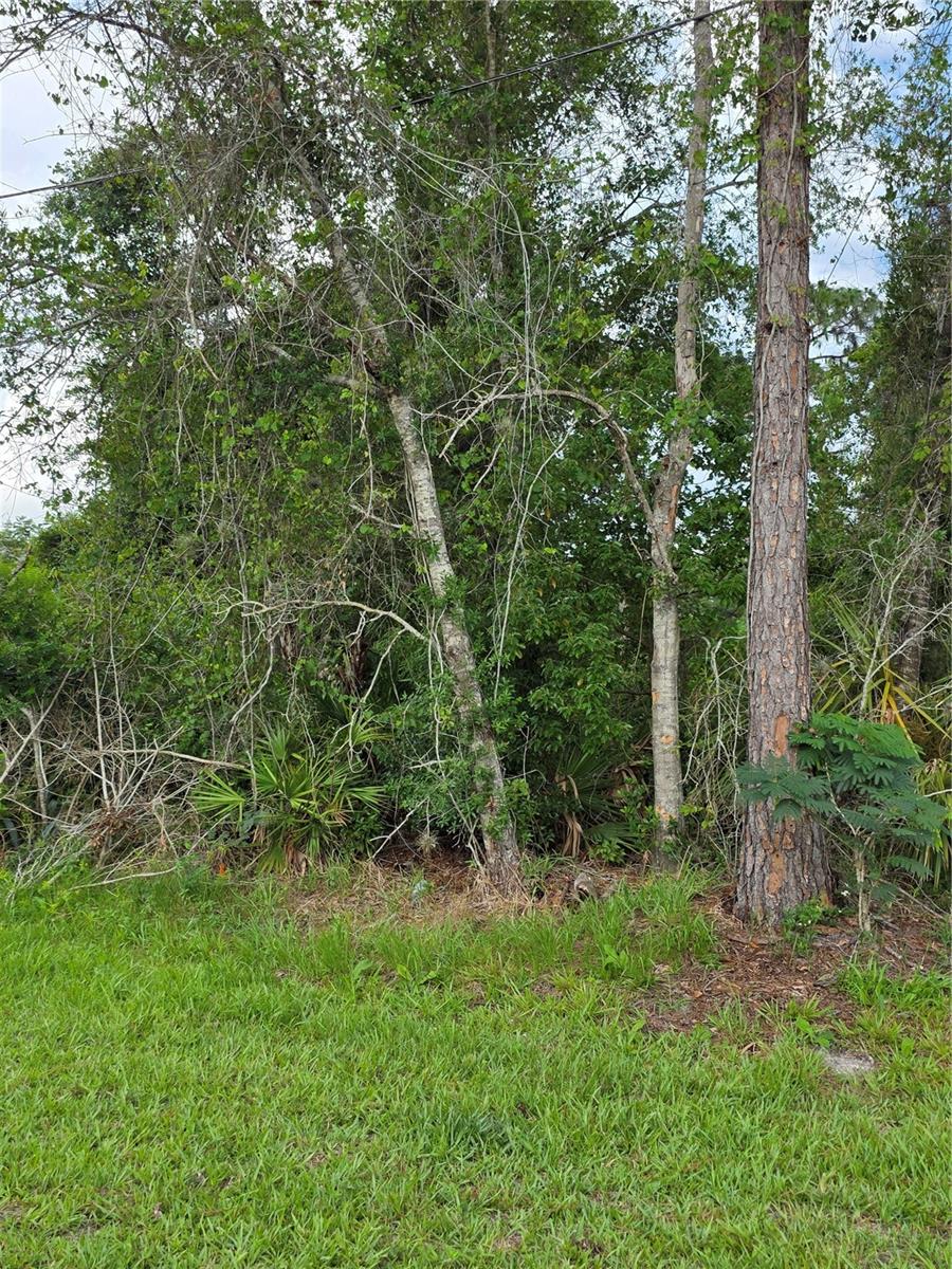 3227 URMEY AVE, DELTONA, FL — photo 6