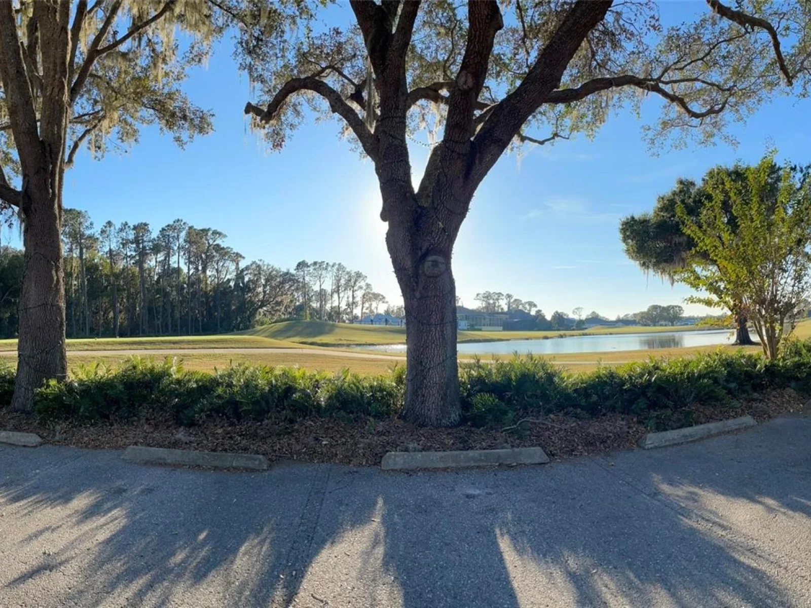 17708 SAWGRASS RUN, DEER ISLAND, FL — photo 60