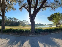 17708 SAWGRASS RUN — photo 60