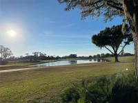 17708 SAWGRASS RUN — photo 61
