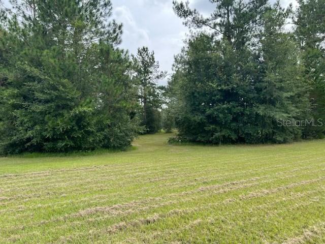 12482 161ST RD, LIVE OAK, FL — photo 14