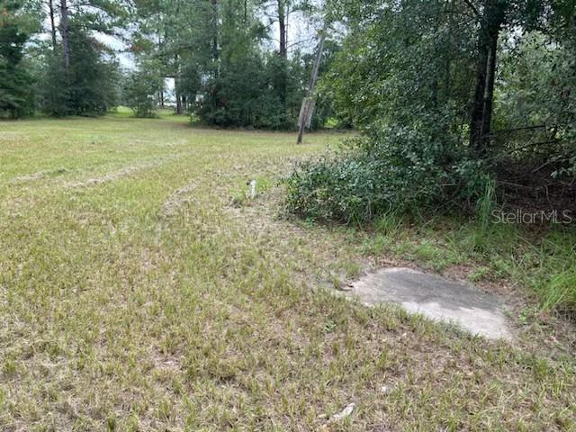 12482 161ST RD, LIVE OAK, FL — photo 17