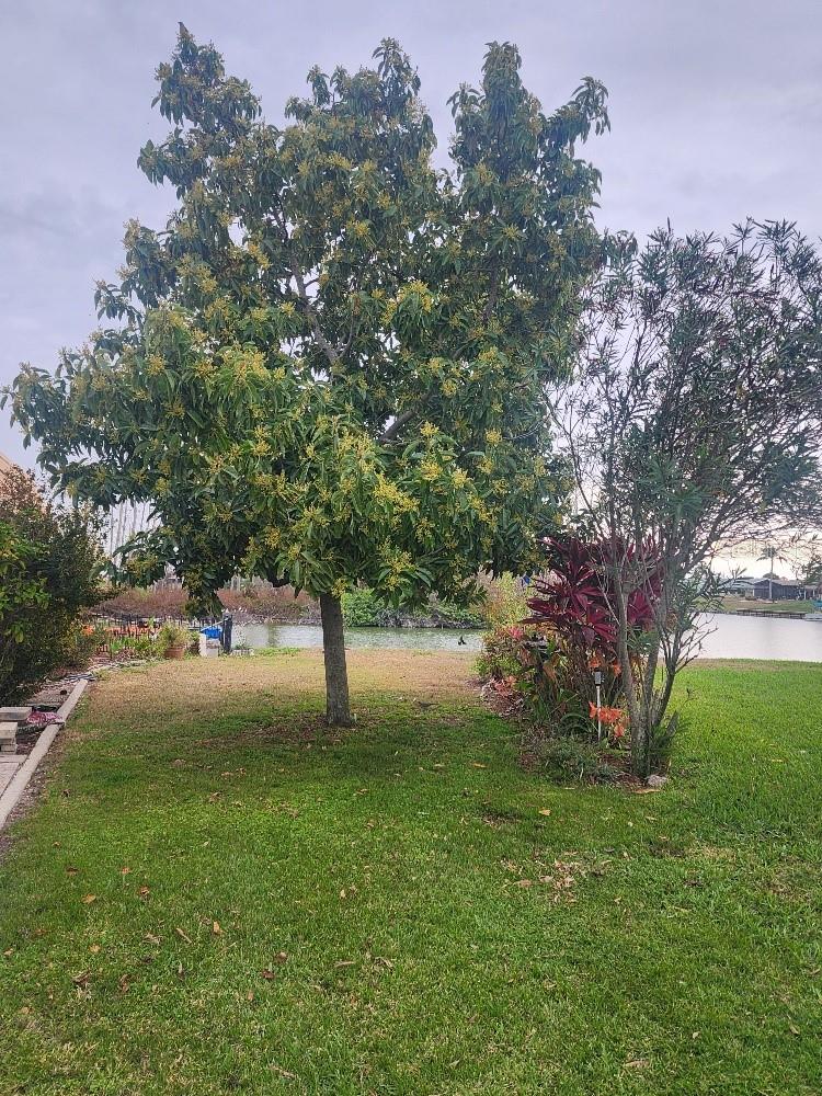 1411 JACOBSON CIR, SUN CITY CENTER, FL — photo 55