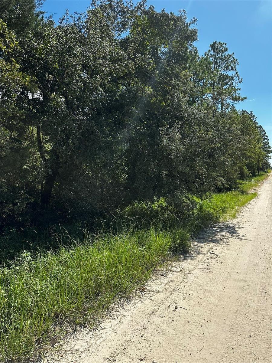 XX SE 21ST PLACE, WILLISTON, FL — photo 2