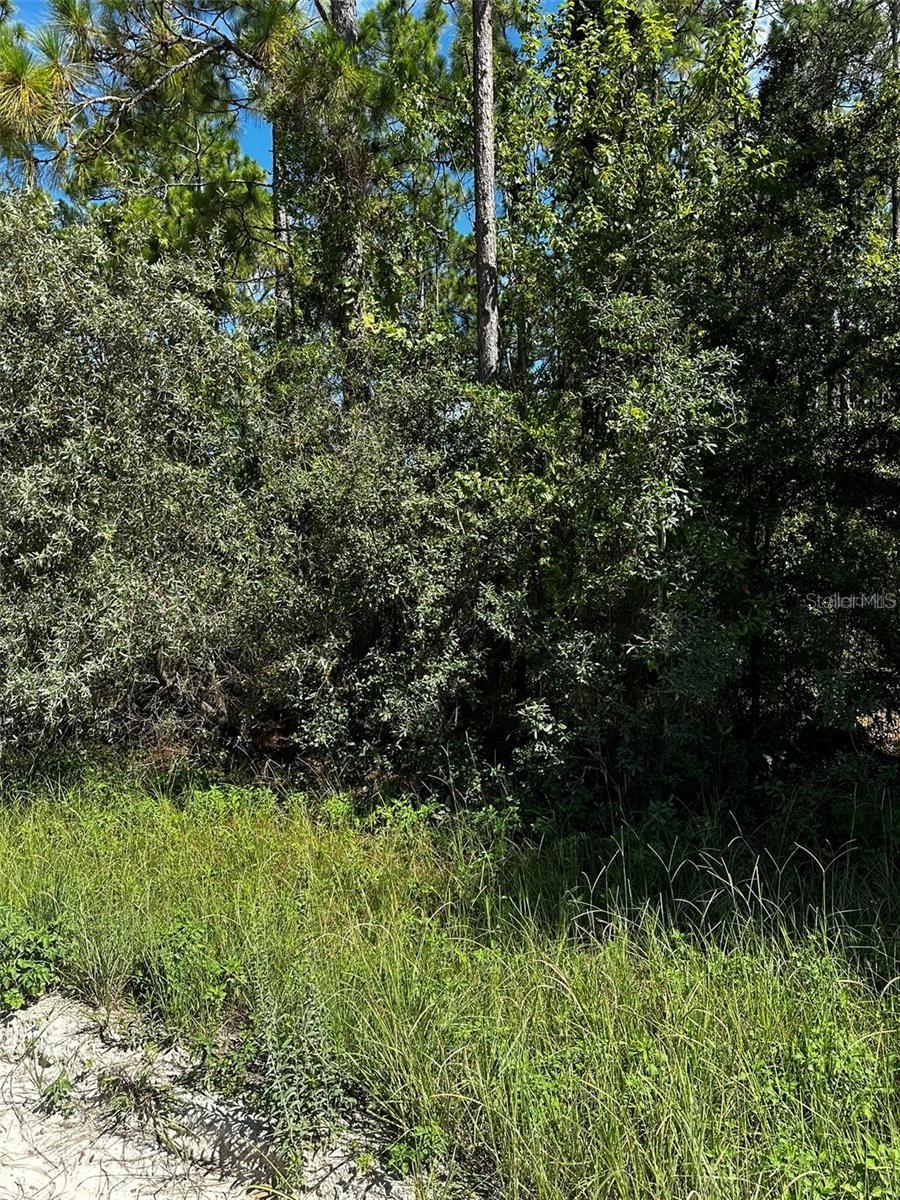 XX SE 21ST PLACE, WILLISTON, FL — photo 3