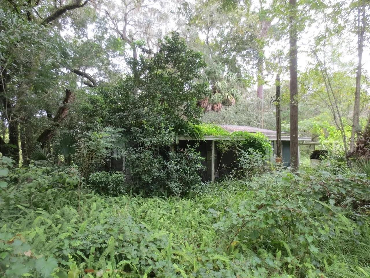 16865 SE 3RD PL, SILVER SPRINGS, FL — photo 5