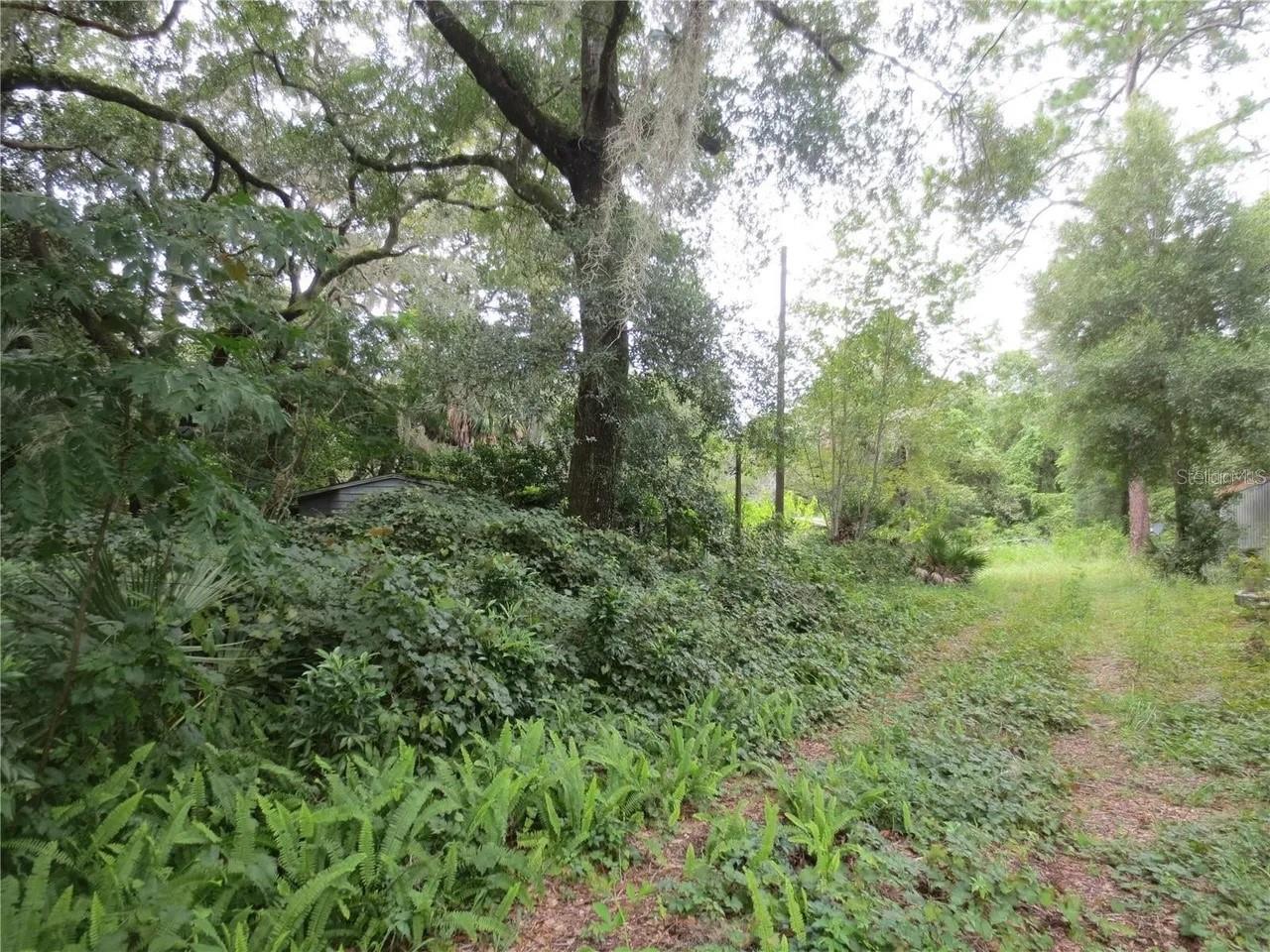 16865 SE 3RD PL, SILVER SPRINGS, FL — photo 7