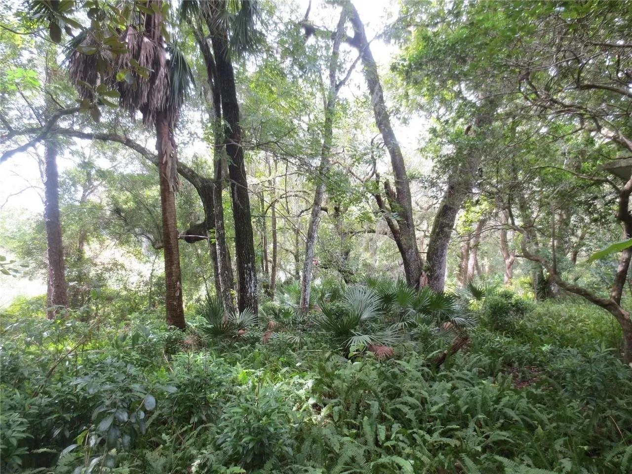 16865 SE 3RD PL, SILVER SPRINGS, FL — photo 10