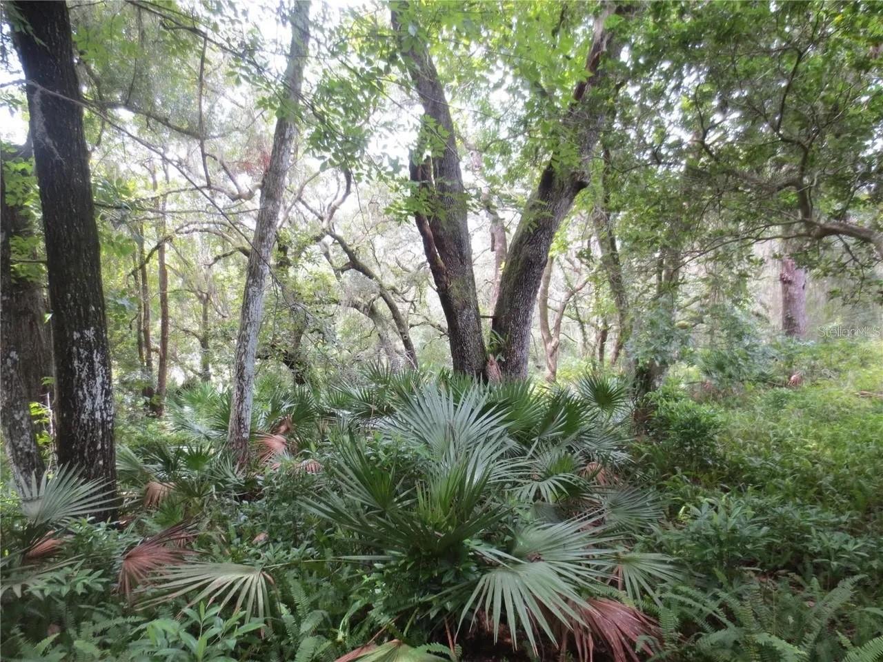 16865 SE 3RD PL, SILVER SPRINGS, FL — photo 12