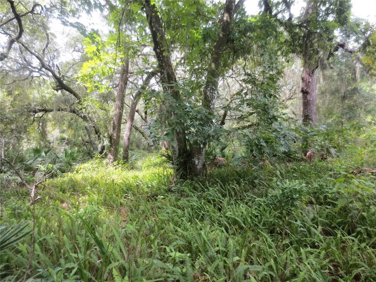 16865 SE 3RD PL, SILVER SPRINGS, FL — photo 13