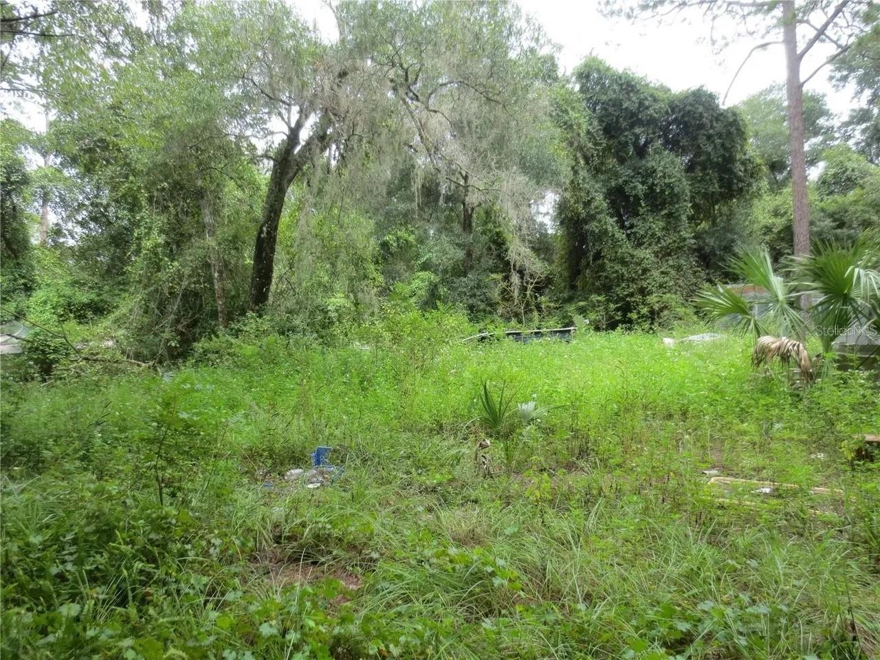 16865 SE 3RD PL, SILVER SPRINGS, FL — photo 16