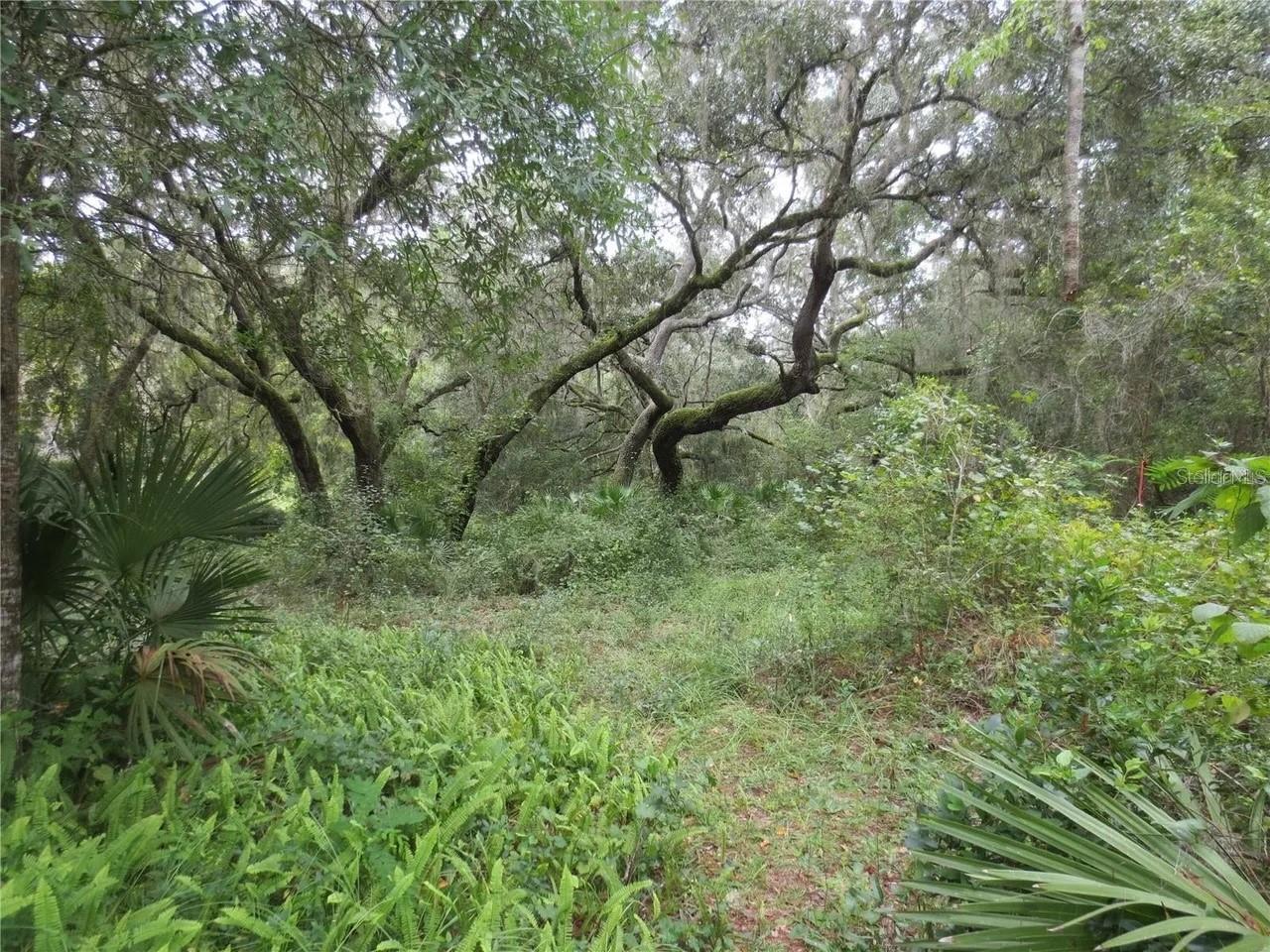 16865 SE 3RD PL, SILVER SPRINGS, FL — photo 17