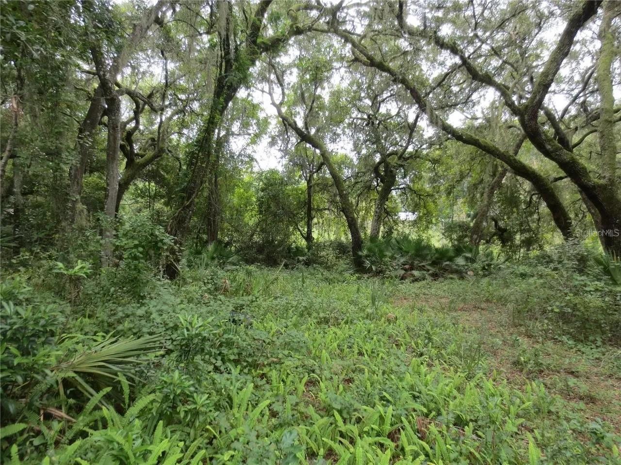 16865 SE 3RD PL, SILVER SPRINGS, FL — photo 18