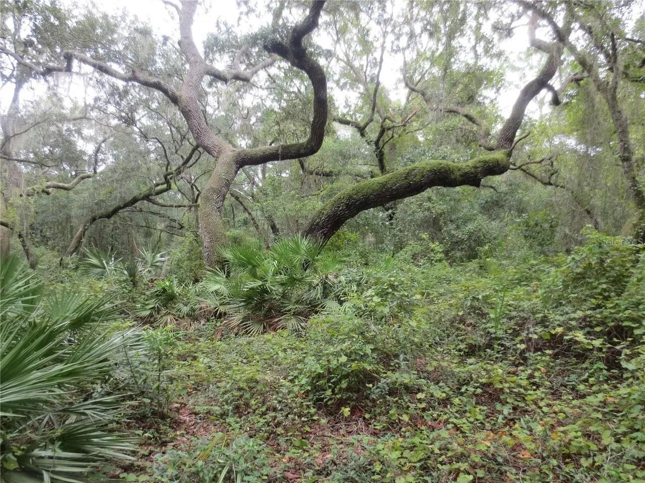 16865 SE 3RD PL, SILVER SPRINGS, FL — photo 20