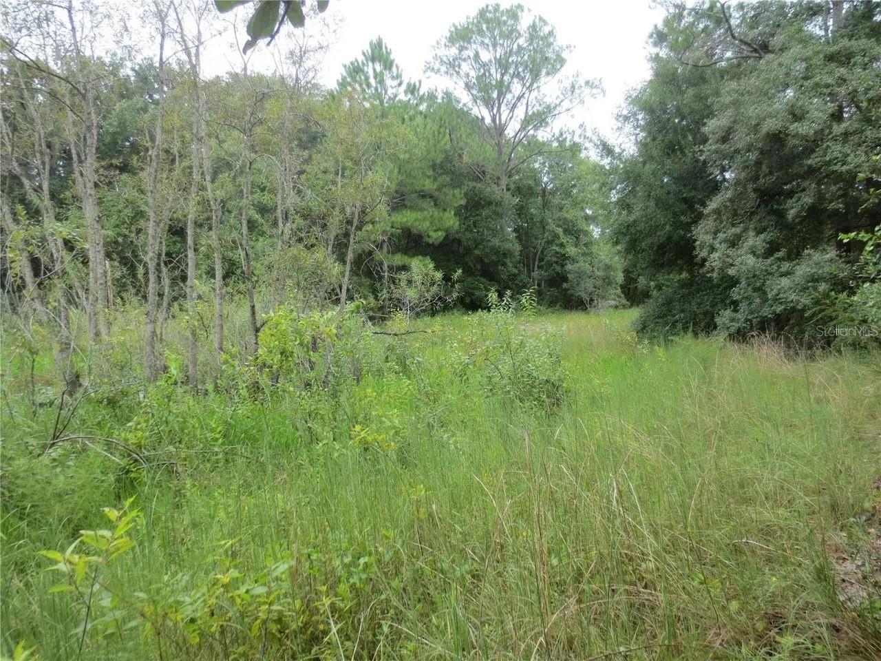16865 SE 3RD PL, SILVER SPRINGS, FL — photo 22