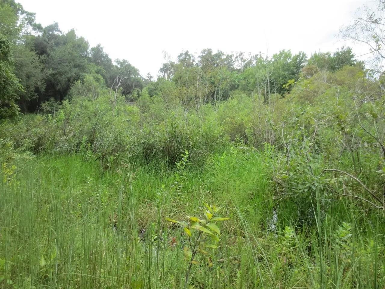 16865 SE 3RD PL, SILVER SPRINGS, FL — photo 23