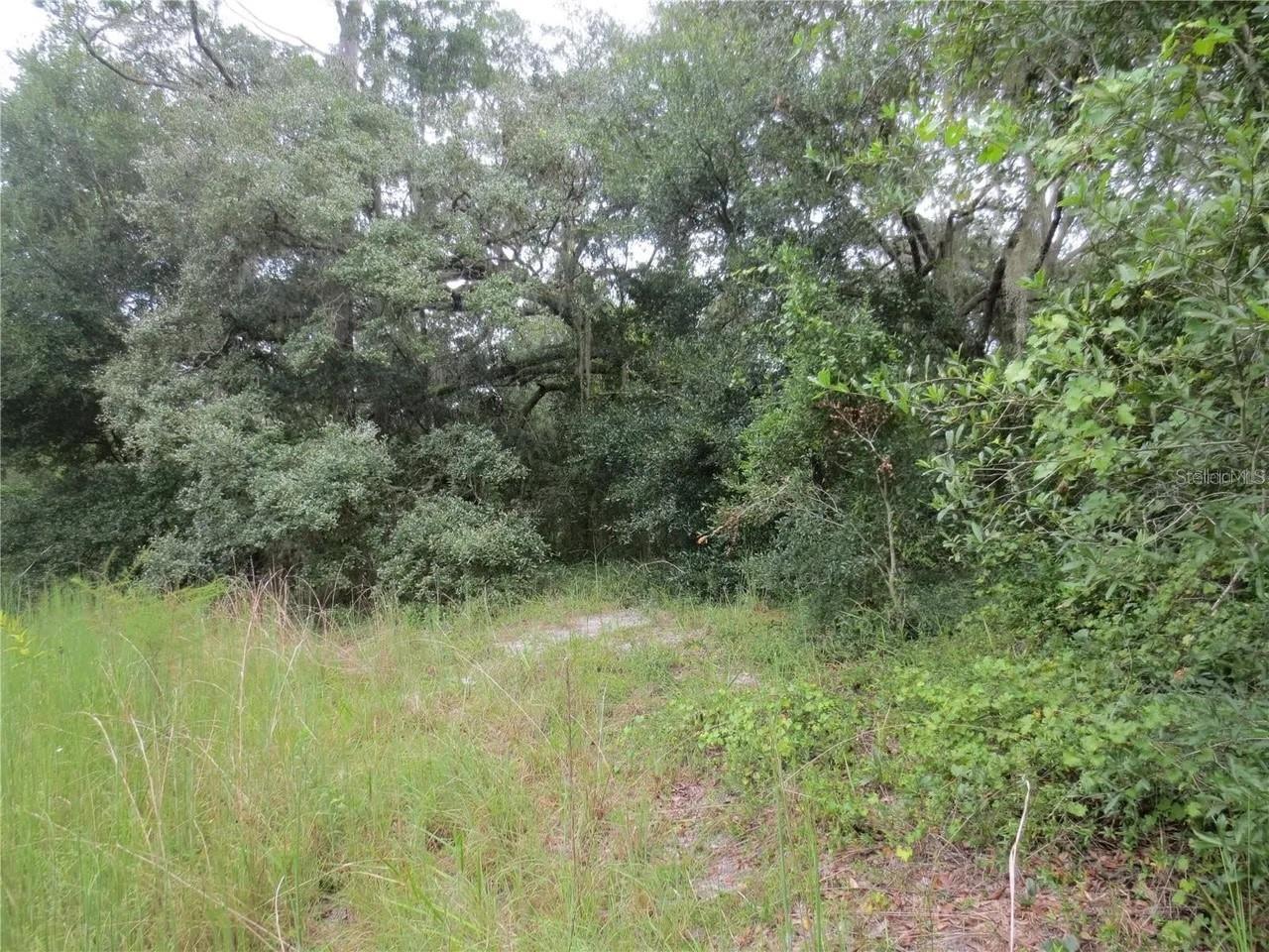 16865 SE 3RD PL, SILVER SPRINGS, FL — photo 24