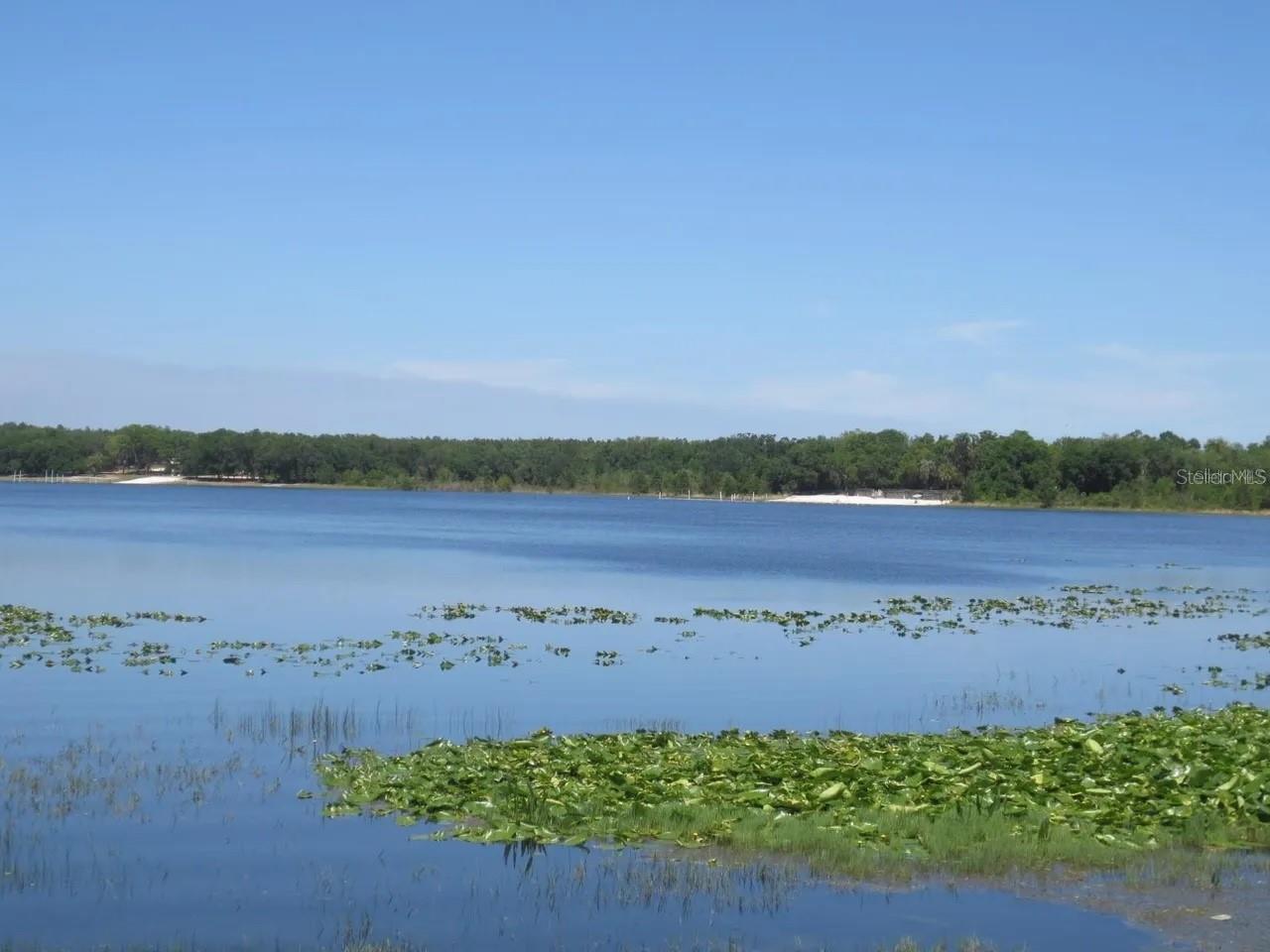 16865 SE 3RD PL, SILVER SPRINGS, FL — photo 28