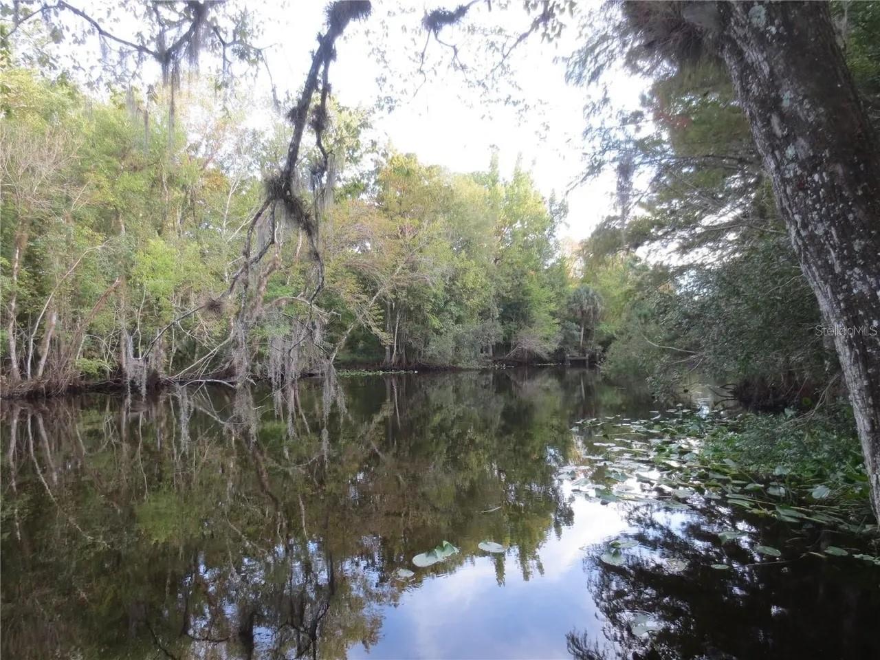 16865 SE 3RD PL, SILVER SPRINGS, FL — photo 29