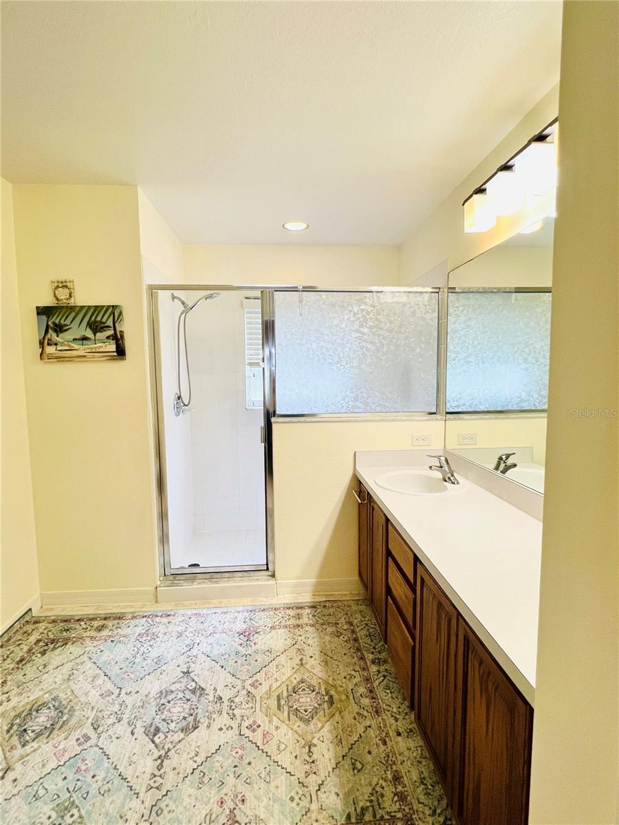 2859 STAGS LEAP DR, ORANGE CITY, FL — photo 13