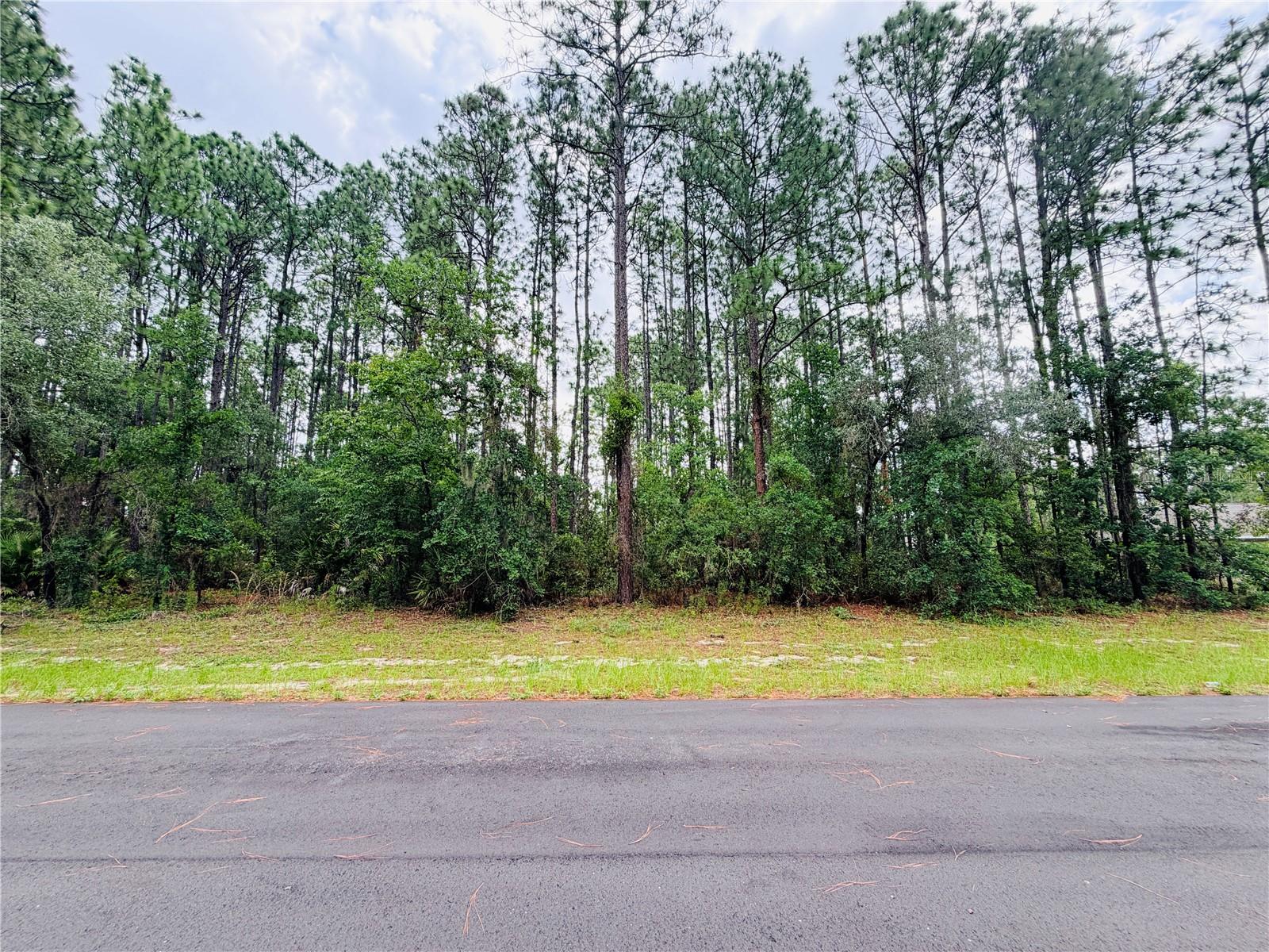 13873 SW 80TH CT, OCALA, FL — photo 2