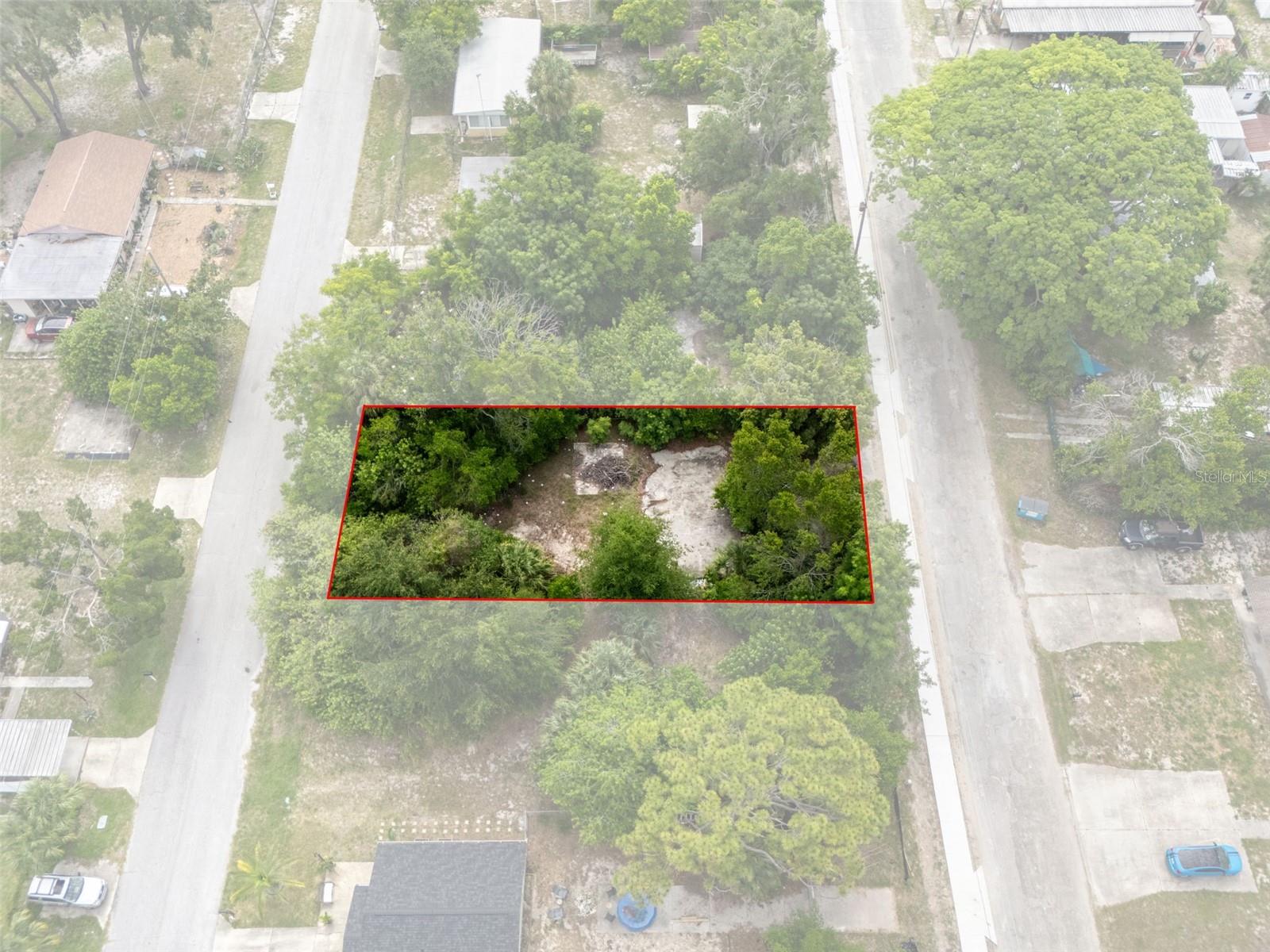7039 JOHNSON RD, PORT RICHEY, FL — photo 6
