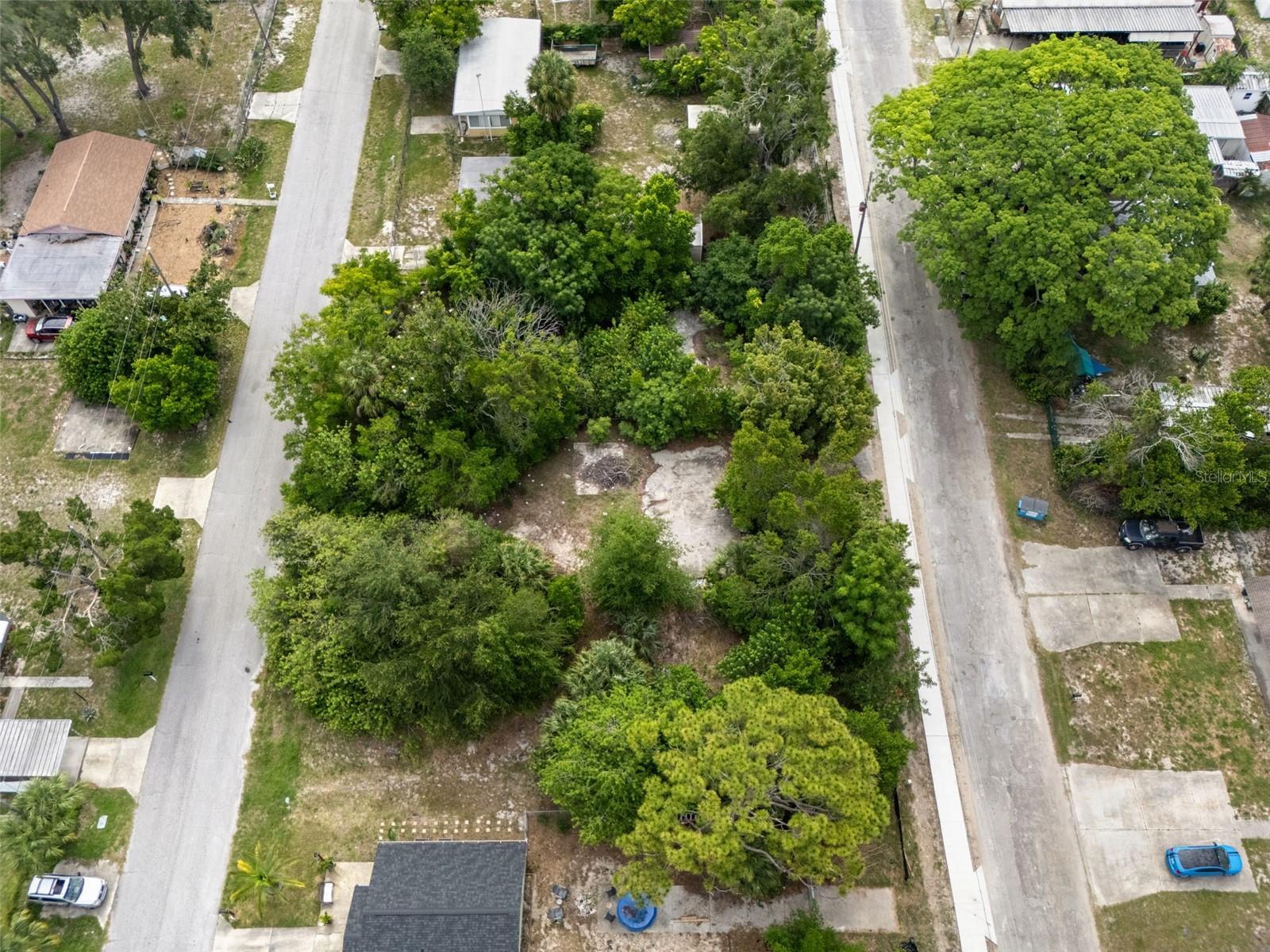 7101 JOHNSON RD, PORT RICHEY, FL — photo 7