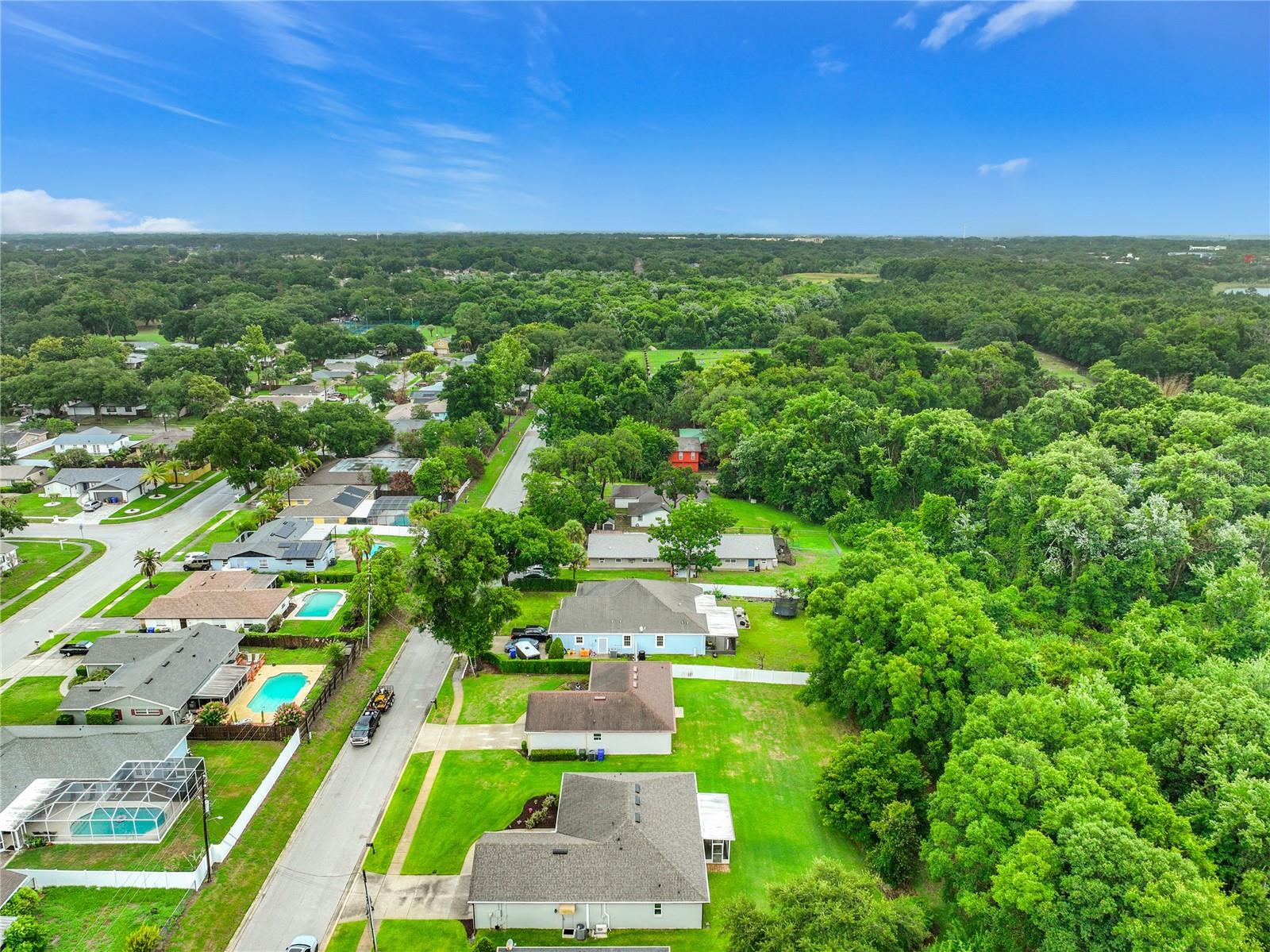 300 E GENEVA ST, OCOEE, FL — photo 46
