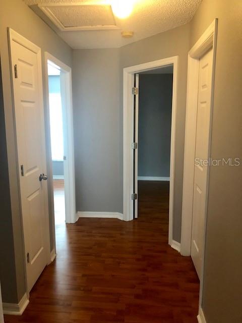 1851 FALLING STAR LN, LUTZ, FL — photo 25