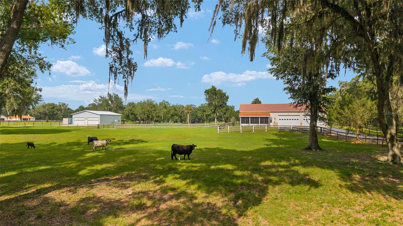2035 NW 150TH AVE, OCALA, FL
