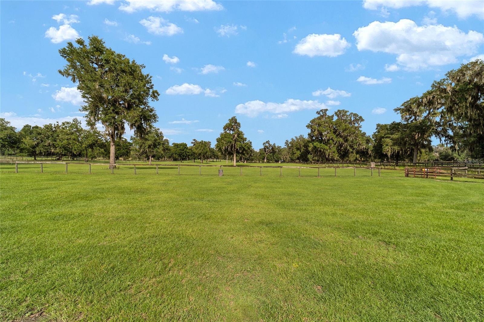 2035 NW 150TH AVE, OCALA, FL — photo 78