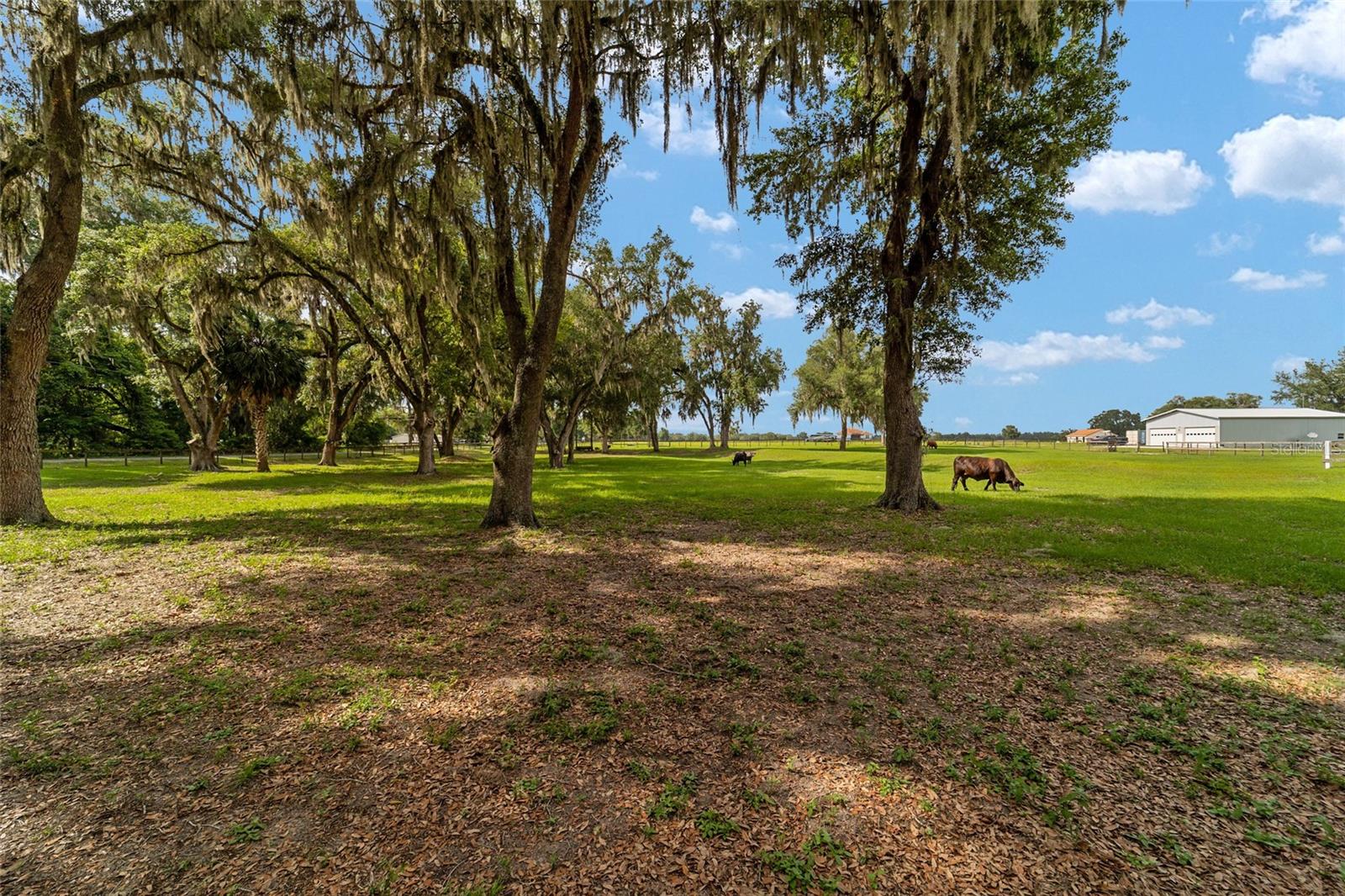 2035 NW 150TH AVE, OCALA, FL — photo 79