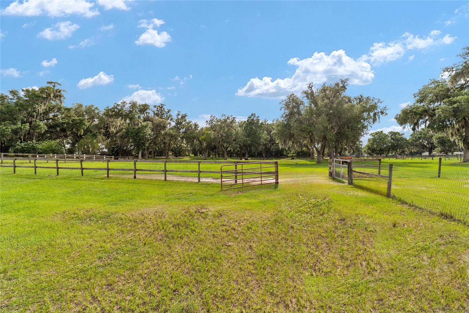 2035 NW 150TH AVE, OCALA, FL — photo 80