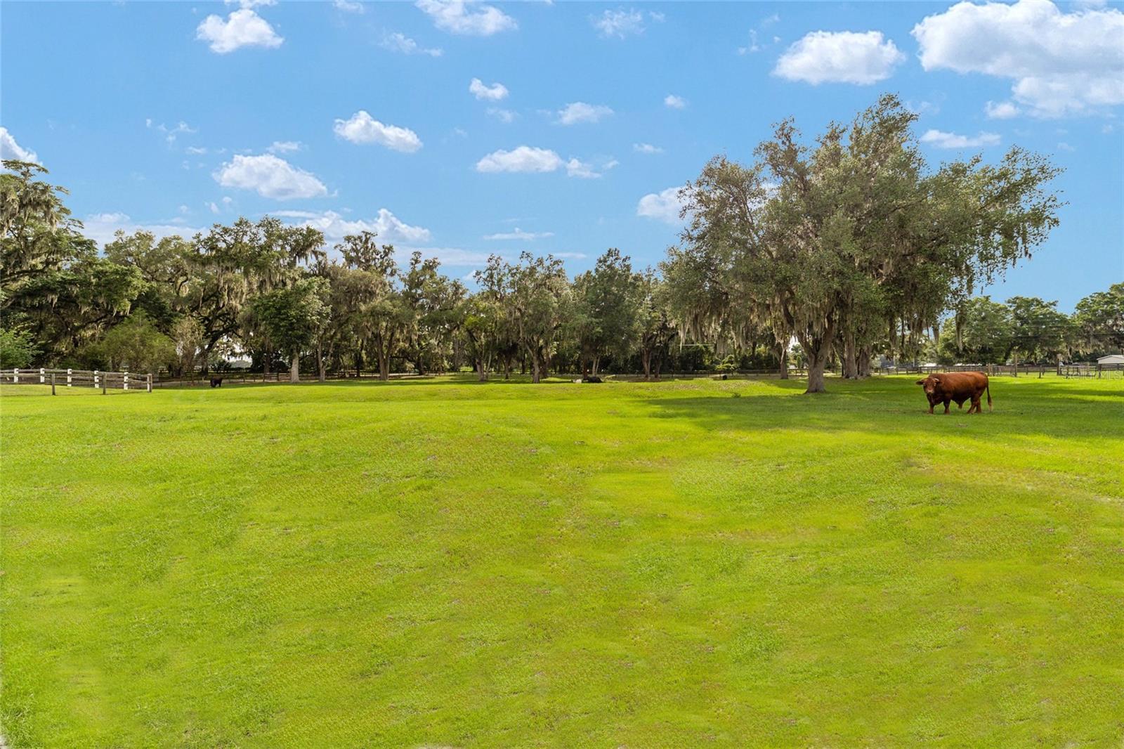 2035 NW 150TH AVE, OCALA, FL — photo 81