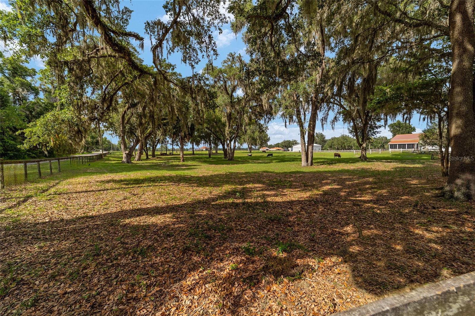 2035 NW 150TH AVE, OCALA, FL — photo 83