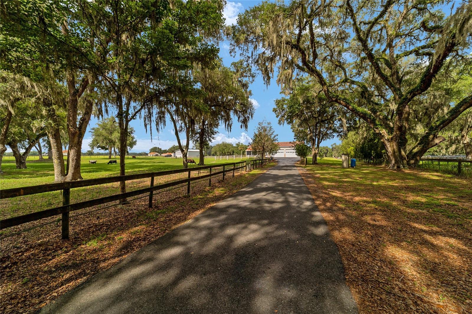 2035 NW 150TH AVE, OCALA, FL — photo 84